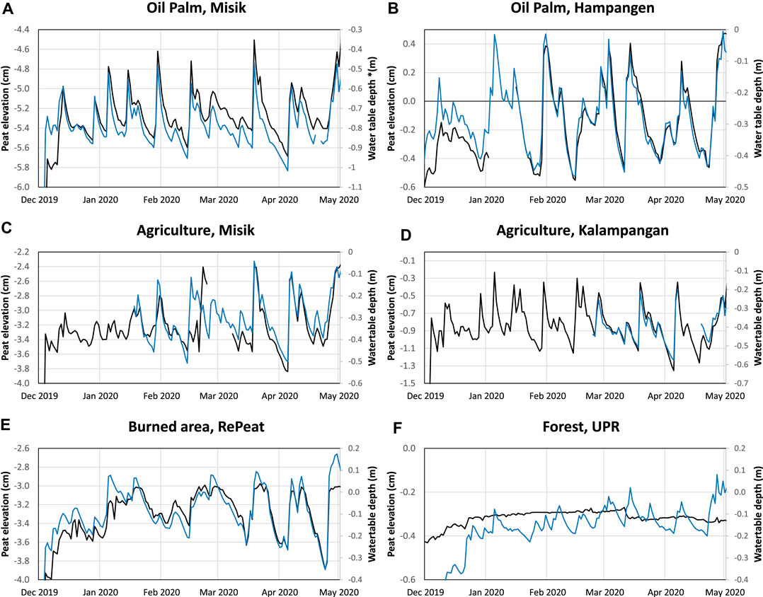 Frontiers  Meteorological Controls on Water Table Dynamics in Fen  Peatlands Depend on Management Regimes