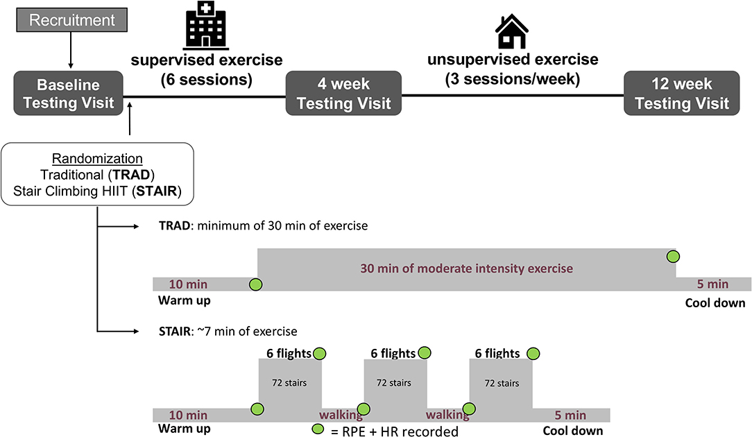 The Heart Health Benefits Of Taking The Stairs