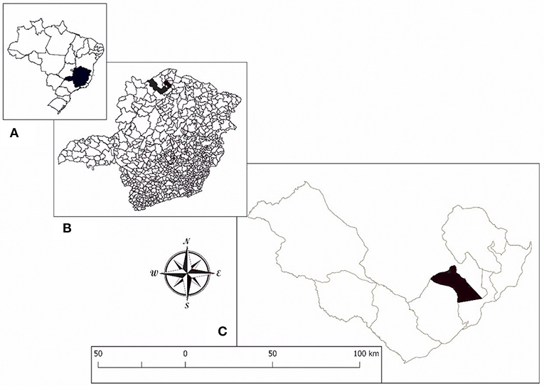 Frontiers Previous History Of American Tegumentary Leishmaniasis Alters Susceptibility And Immune Response Against Schistosoma Mansoni Infection In Humans Frontiers Previous History Of American Tegumentary Leishmaniasis Alters Susceptibility And Immune Response Against Schistosoma Mansoni Infection In Humans