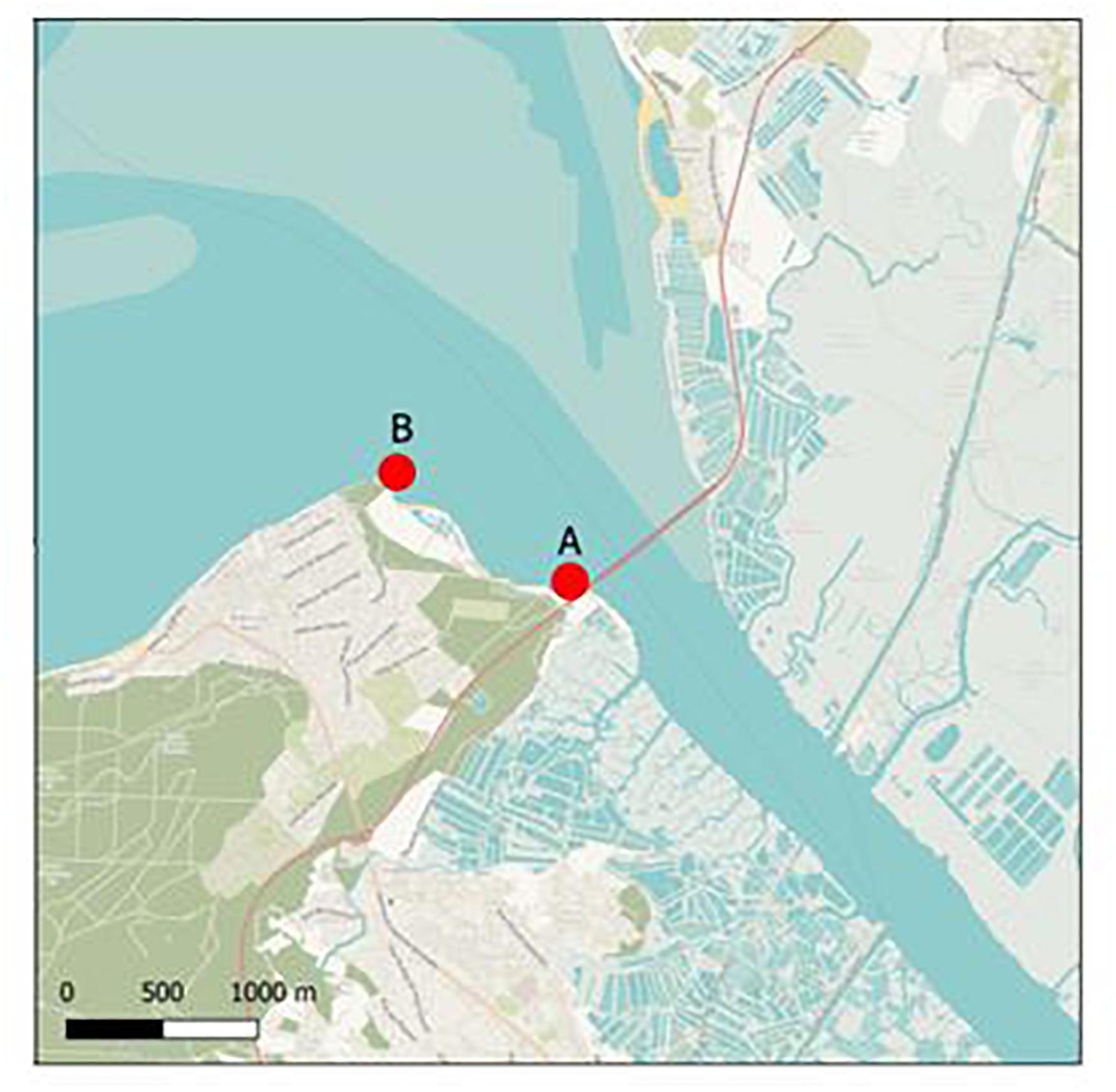 www.frontiersin.org