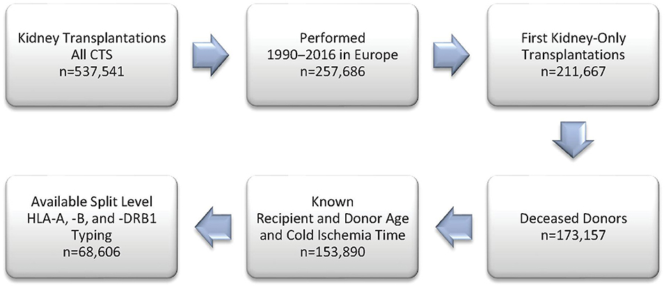 www.frontiersin.org