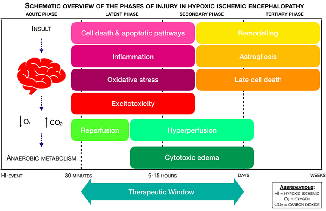 Hie medical term