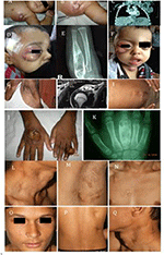 www.frontiersin.org