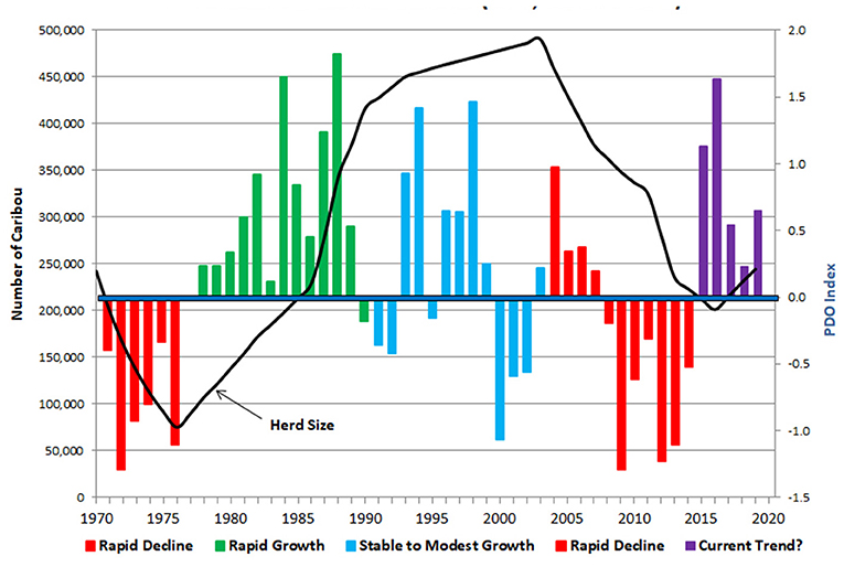 Figure 3 - Relationship between the Western Arctic herd population oscillations (black line) and the large-scale climate oscillation known as the Pacific decadal oscillation (PDO; colored bars).
