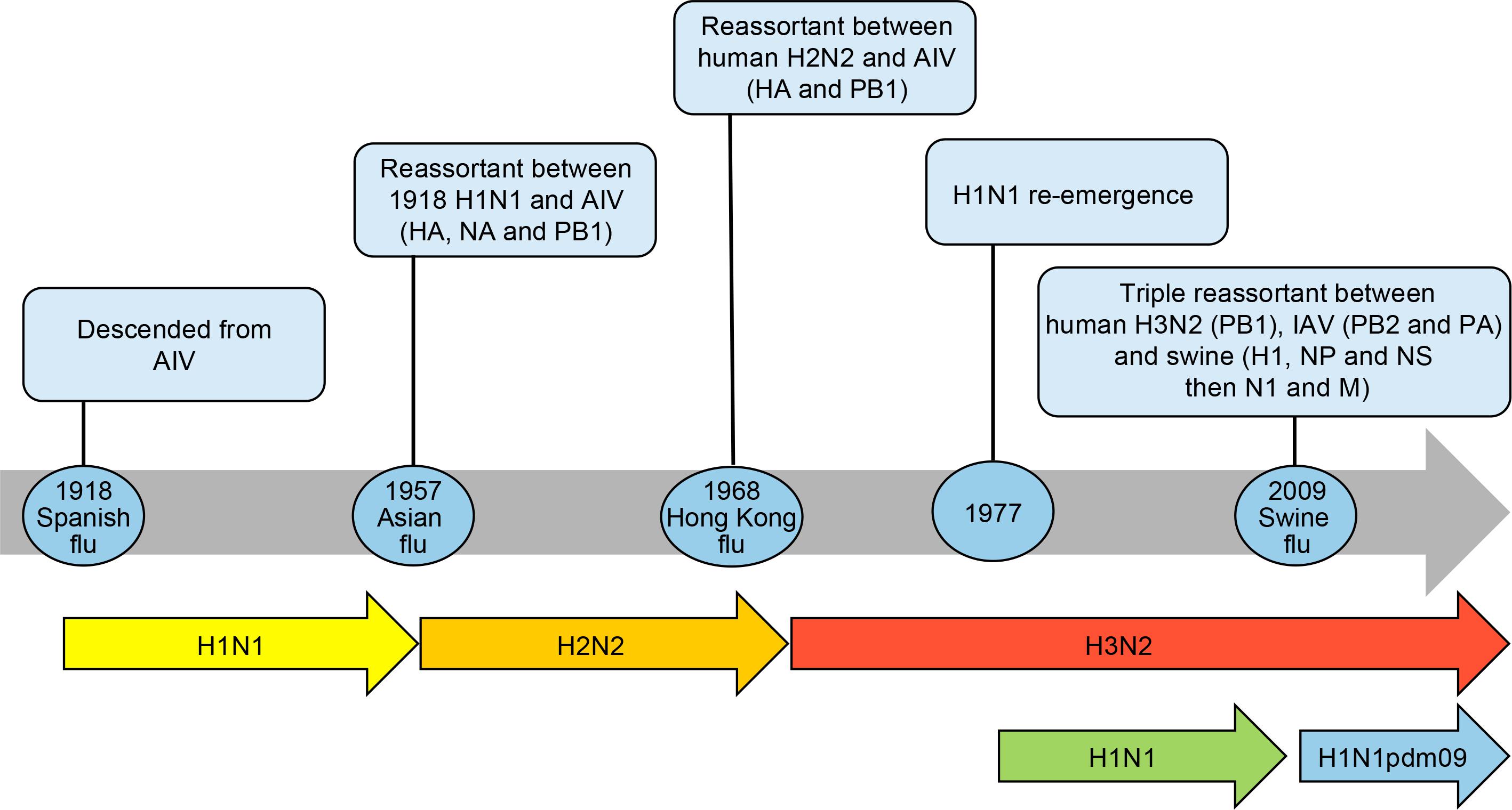 Frontiers | Pandemics Throughout History