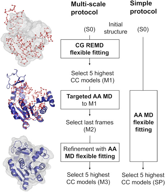 Frontiers  Multi-Scale Flexible Fitting of Proteins to Cryo-EM Density  Maps at Medium Resolution