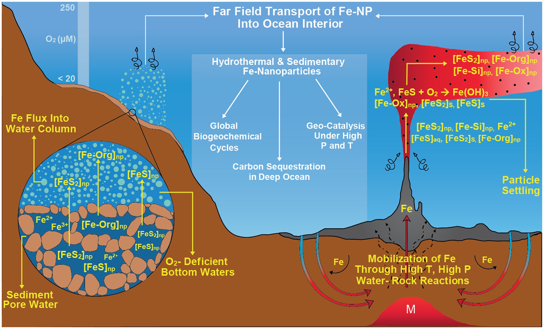 hydrothermal vent diagram