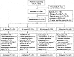 Frontiers | The Analgesic Effect of Different Concentrations of ...