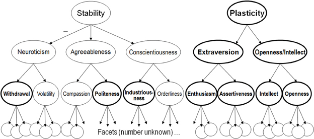 derefter Soaked Oversætte Frontiers | The neuromodulator of exploration: A unifying theory of the  role of dopamine in personality | Human Neuroscience