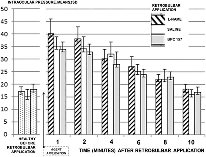 Frontiers BPC 157 as a Therapy for Retinal Ischemia Induced by