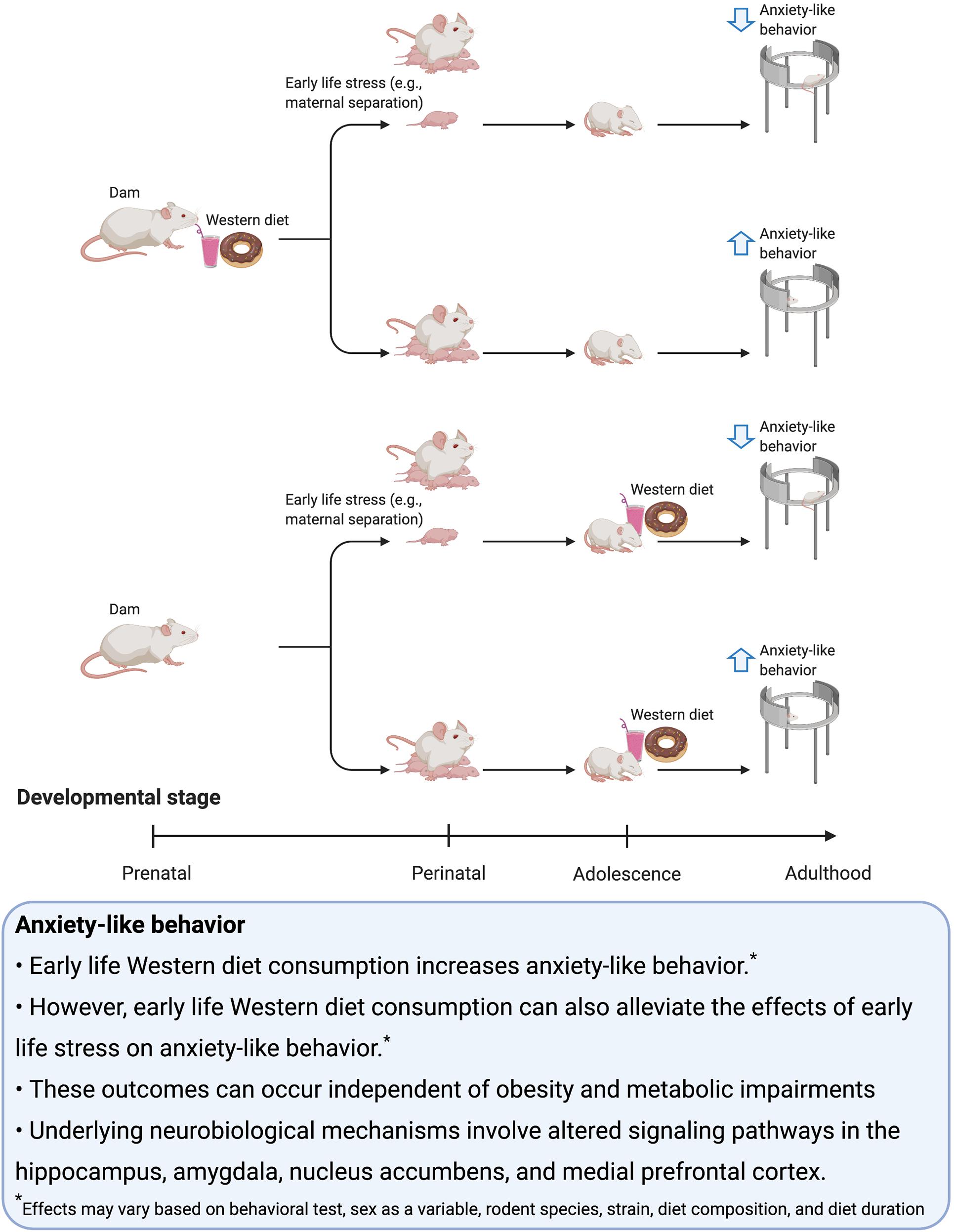 When Milk Intake Impacts a Child's Nutrition - Encompass