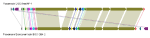 www.frontiersin.org