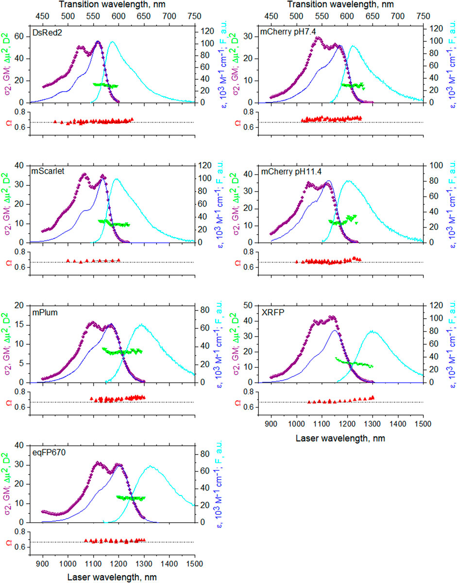 Frontiers | Local Electric Field Controls Fluorescence Quantum Yield of ...