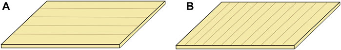 www.frontiersin.org