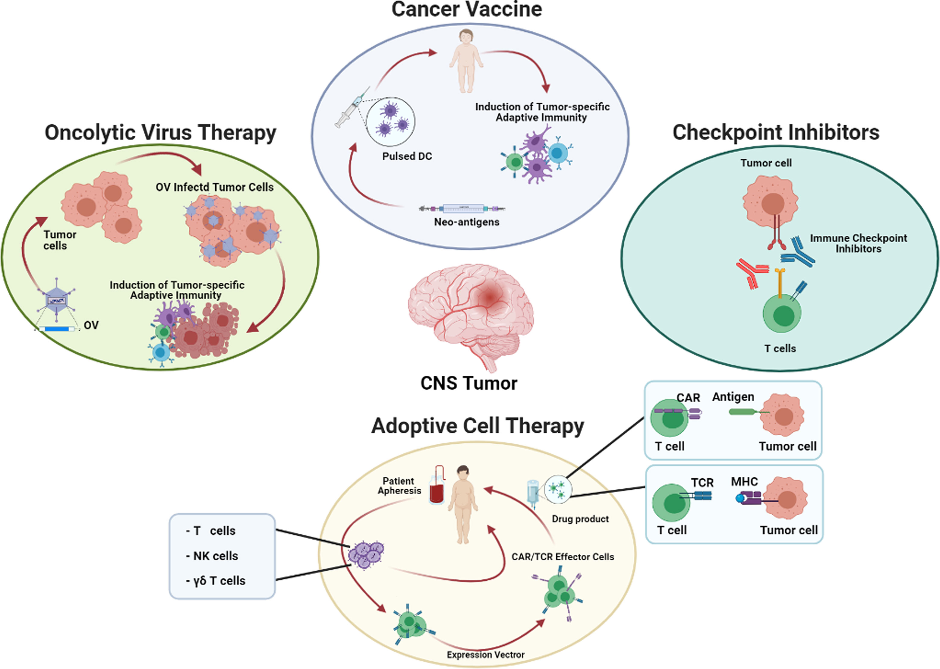 bladder cancer and kidney infection