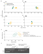 Frontiers - The Candidate Photoperiod Gene MtFE Promotes Growth and Flowering in Medicago ...