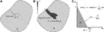 www.frontiersin.org