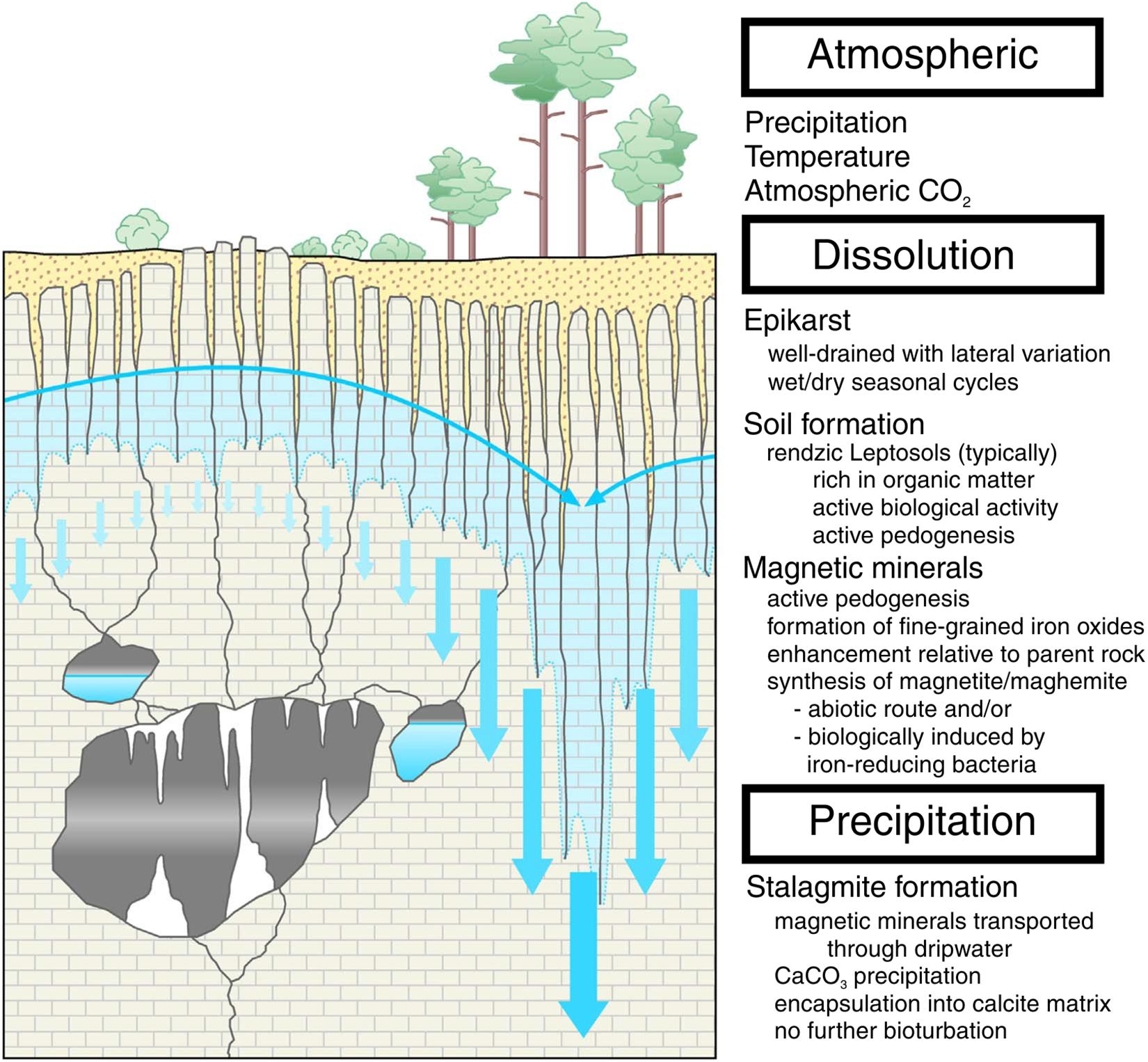 Dom melodramatiske pære Frontiers | Magnetic Mineralogy of Speleothems From Tropical-Subtropical  Sites of South America