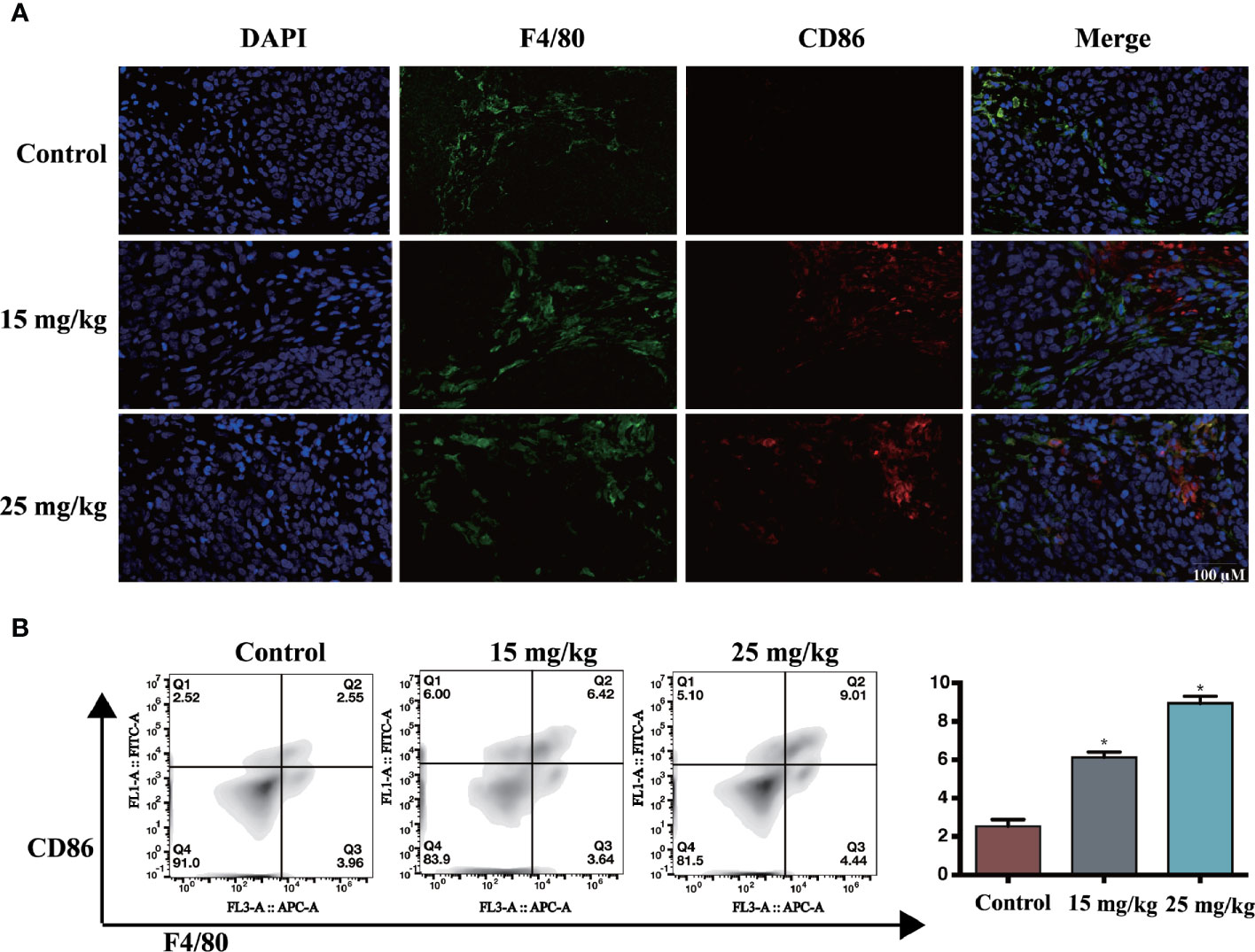 Frontiers | Sophoridine Inhibits the Tumour Growth of Non-Small Lung