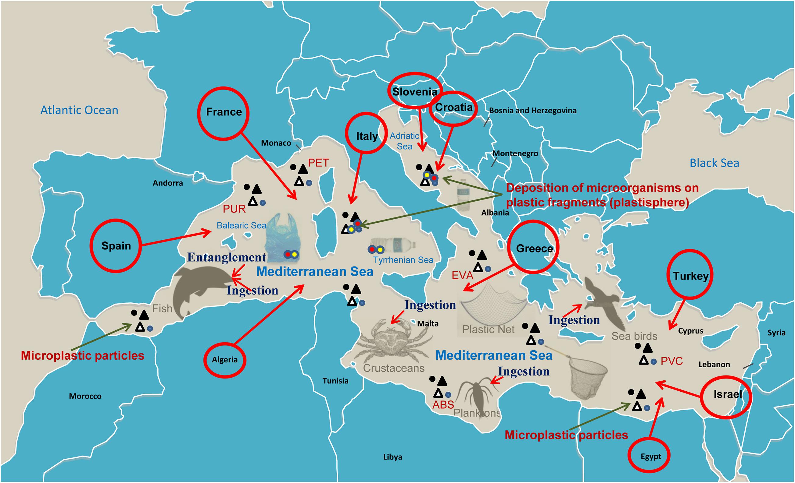 Mediterranean Sea Region Mental Map