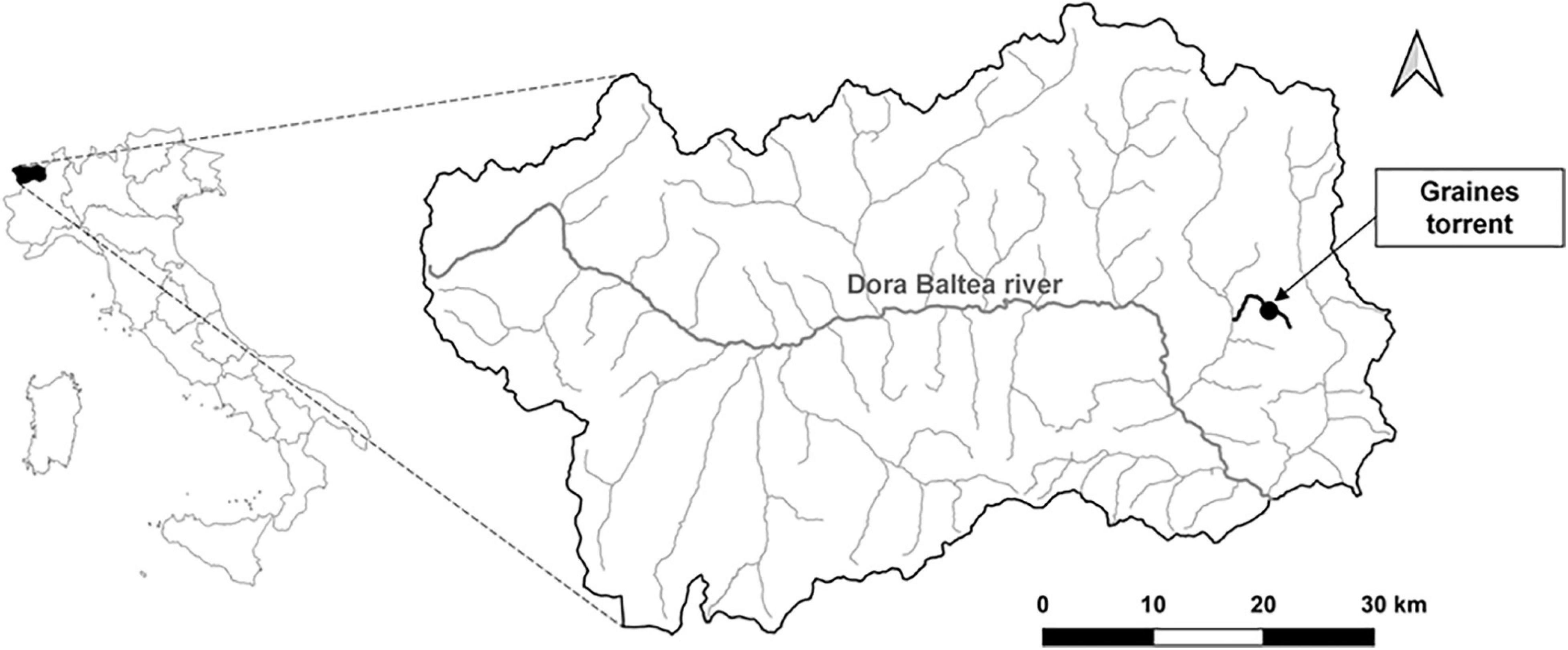 www.frontiersin.org