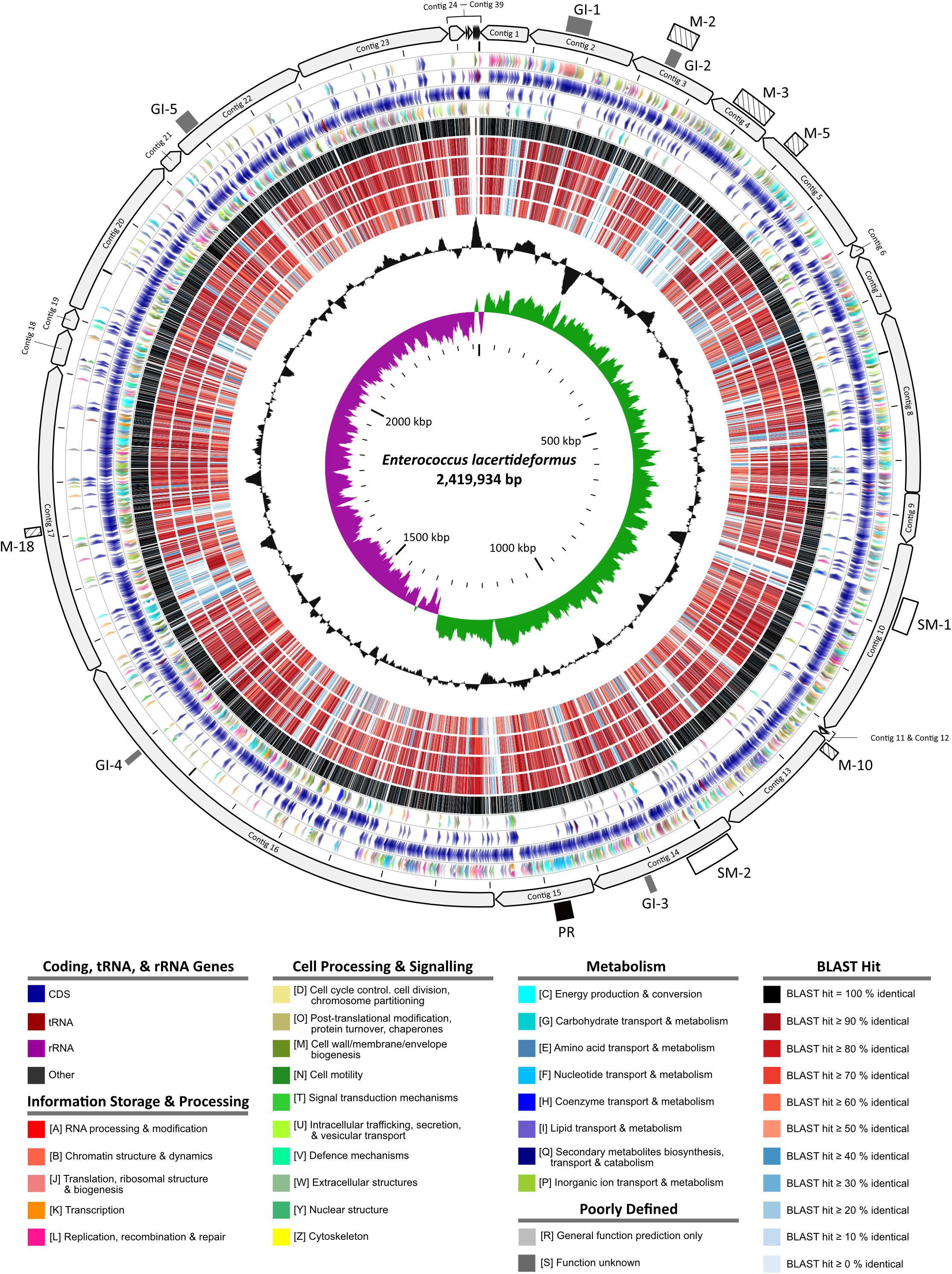 Novel Genetic Insights into Staphylococcus aureus Uncovered