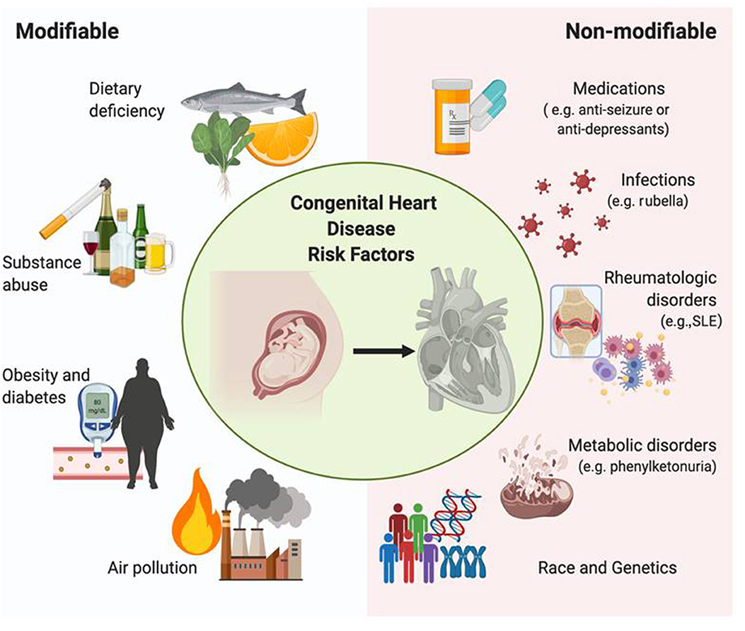 congenital heart disease