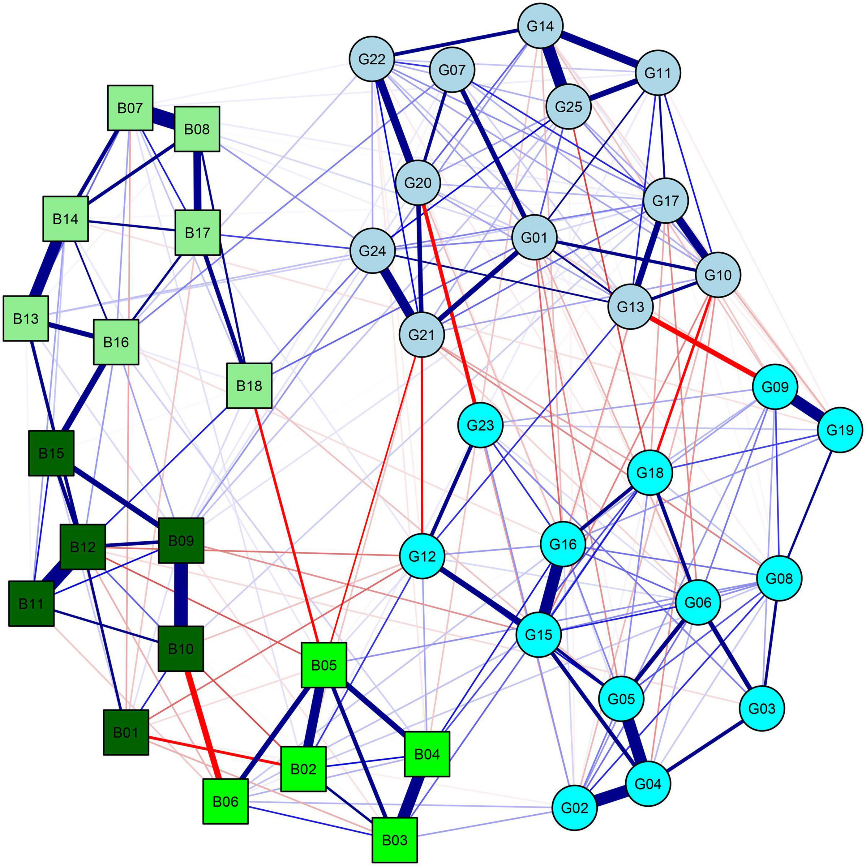Первая сеть. Network Analyst. Barabashi Network Analysis.