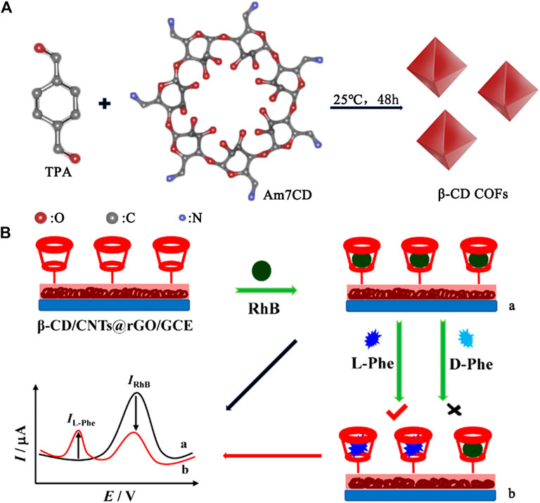 debat kvarter interpersonel Frontiers | Design of Cyclodextrin-Based Functional Systems for Biomedical  Applications | Chemistry