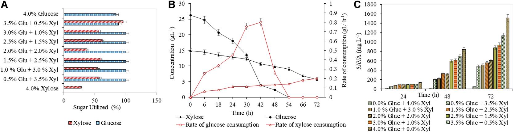 Frontiers Production Of Biopolyamide Precursors 5 Amino Valeric Acid And Putrescine From Rice Straw Hydrolysate By Engineered Corynebacterium Glutamicum Bioengineering And Biotechnology