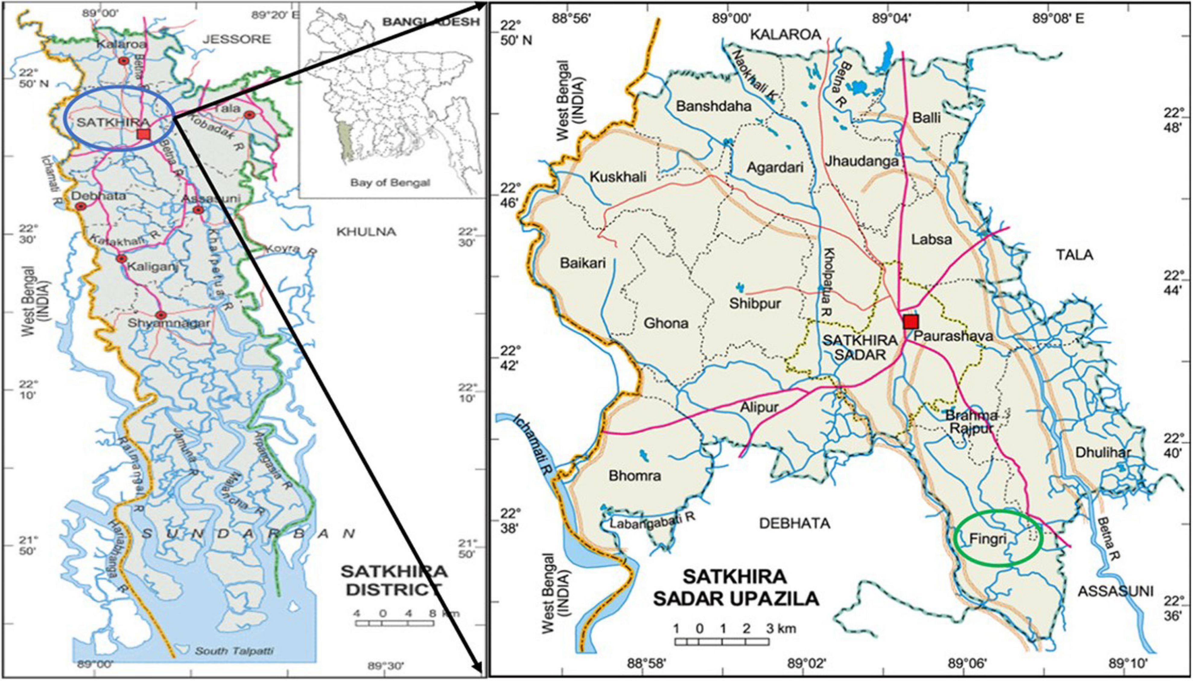 www.frontiersin.org