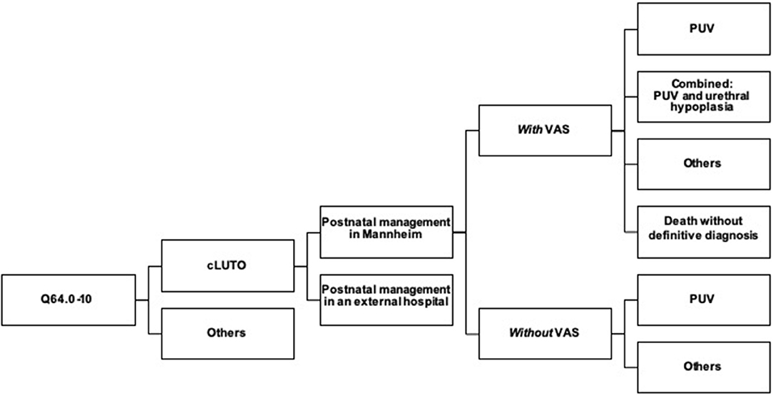 urinary obstruction icd 10)