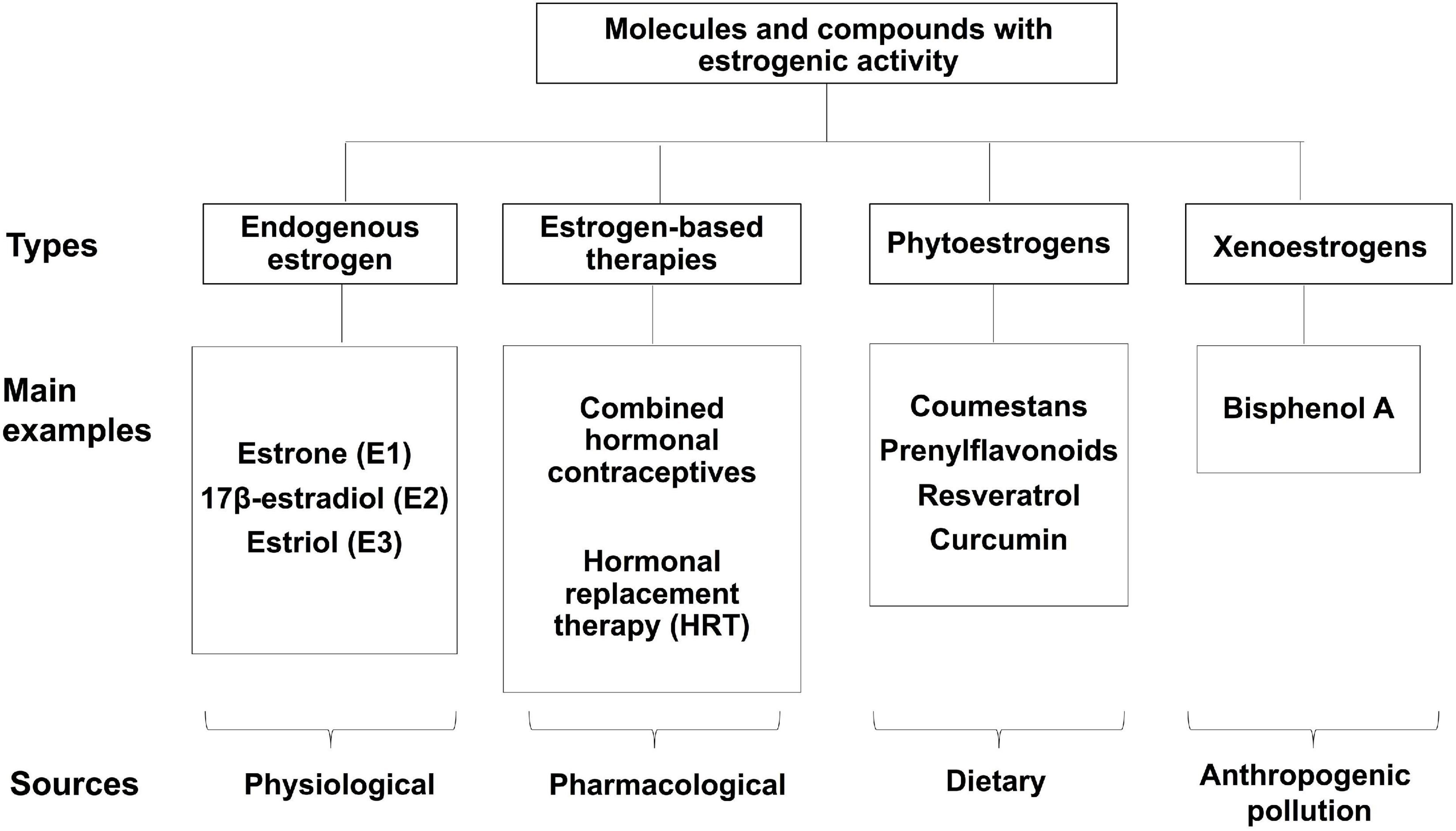 | The Impact of Estrogen and Molecules and Neurodegeneration: Beneficial or Harmful?