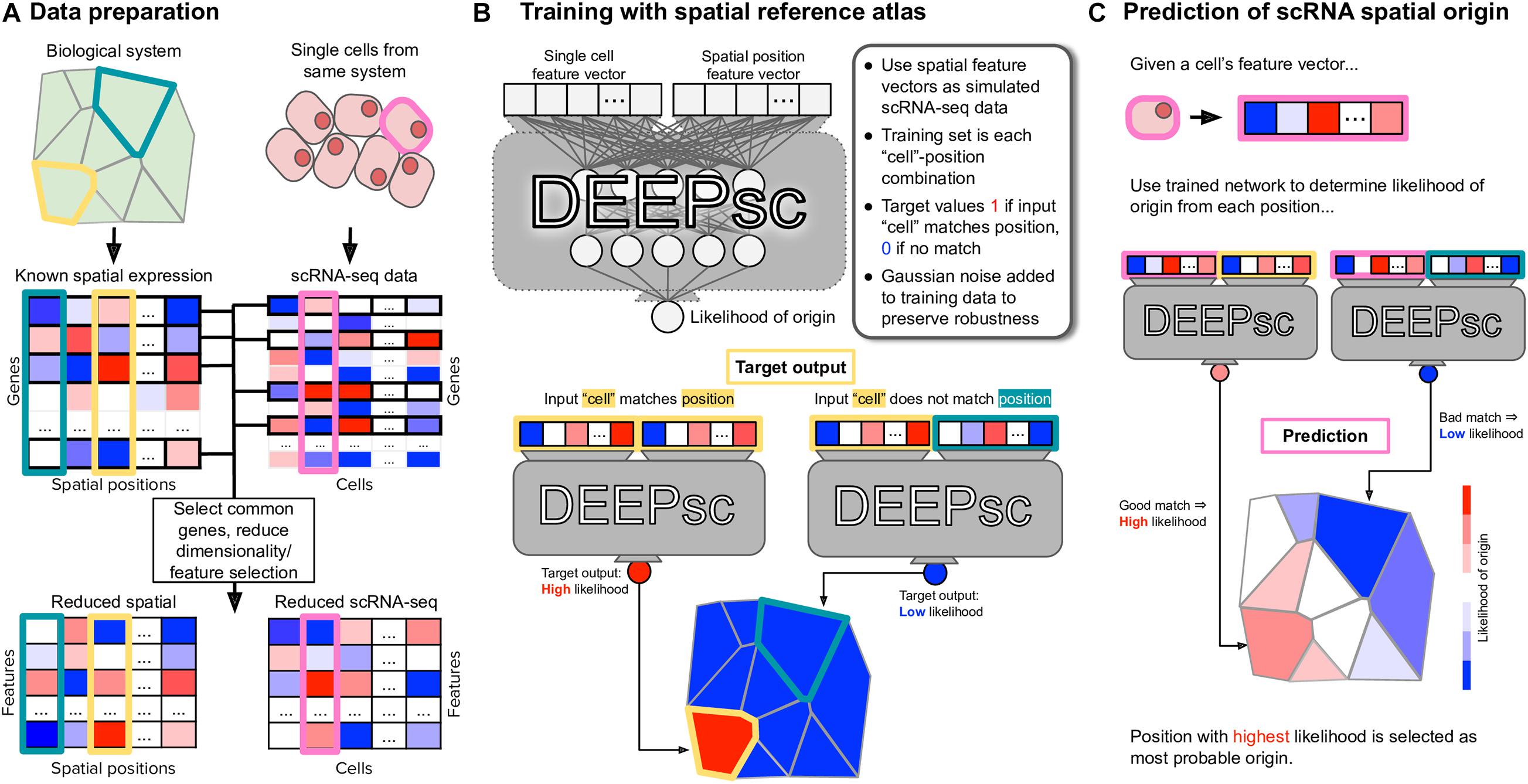 DREAMS: deep read-level error model for sequencing data applied to