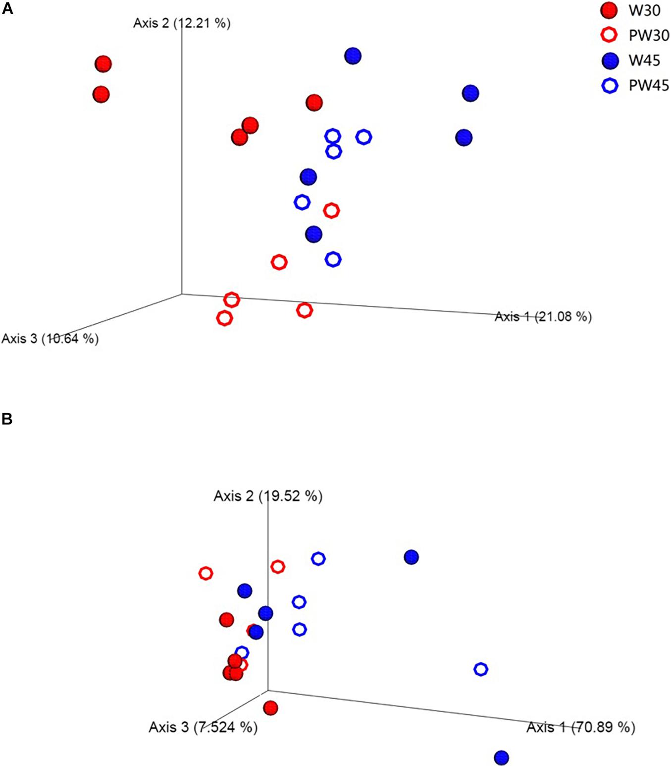 Frontiers Weaning Age Affects The Development Of The Ruminal Bacterial And Archaeal Community In Hu Lambs During Early Life Microbiology