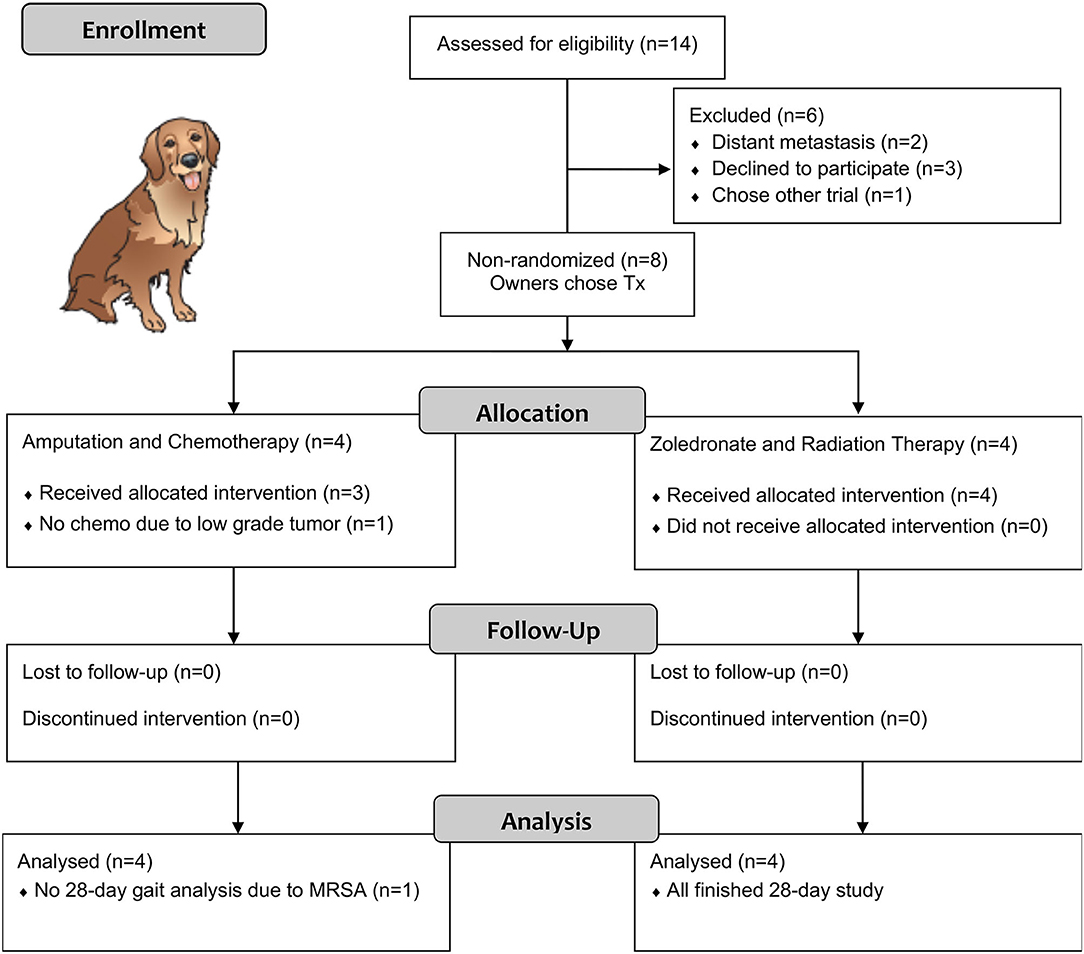 Frontiers | A Pilot Study of Cancer-Induced Bone Pain Using Validated Owner  Questionnaires, Serum N-Telopeptide Concentration, Kinetic Analysis, and  PET/CT