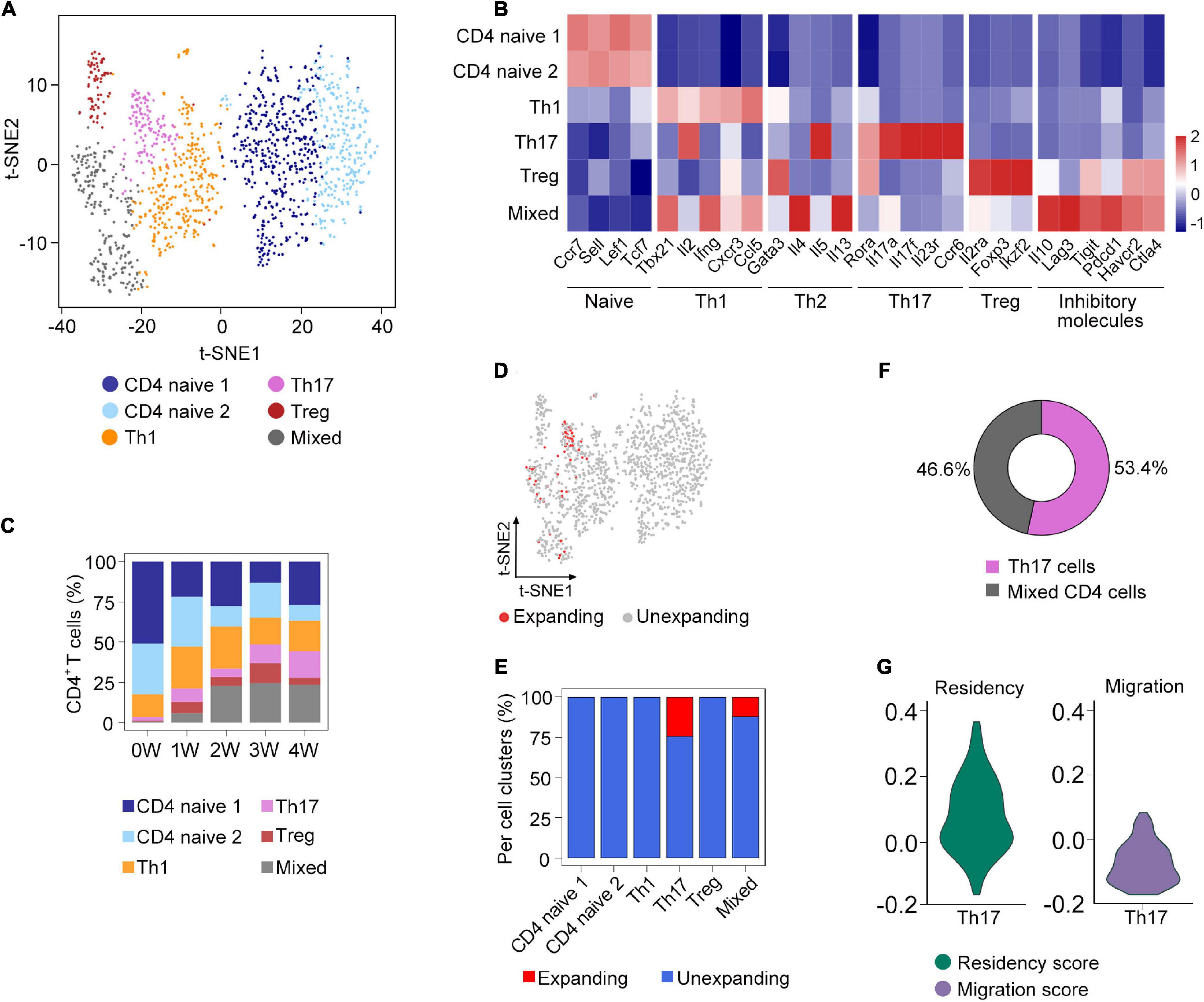 Frontiers Single Cell Tcr Sequencing Reveals The Dynamics Of T Cell