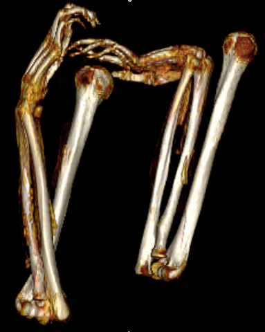 www.frontiersin.org
