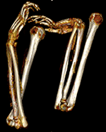 www.frontiersin.org