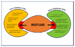 www.frontiersin.org