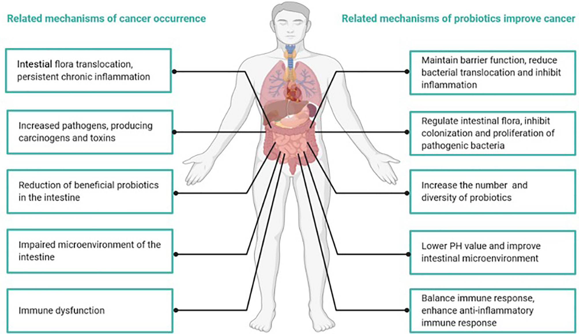 Cetosis y cámara hiperbárica contra cancer