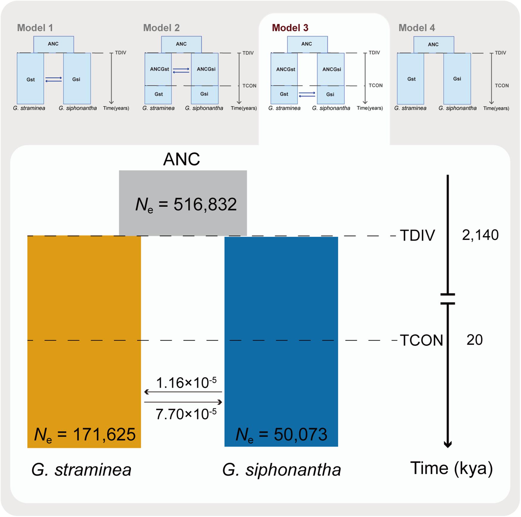 Frontiers | Population Transcriptomics Reveals Gene Flow and