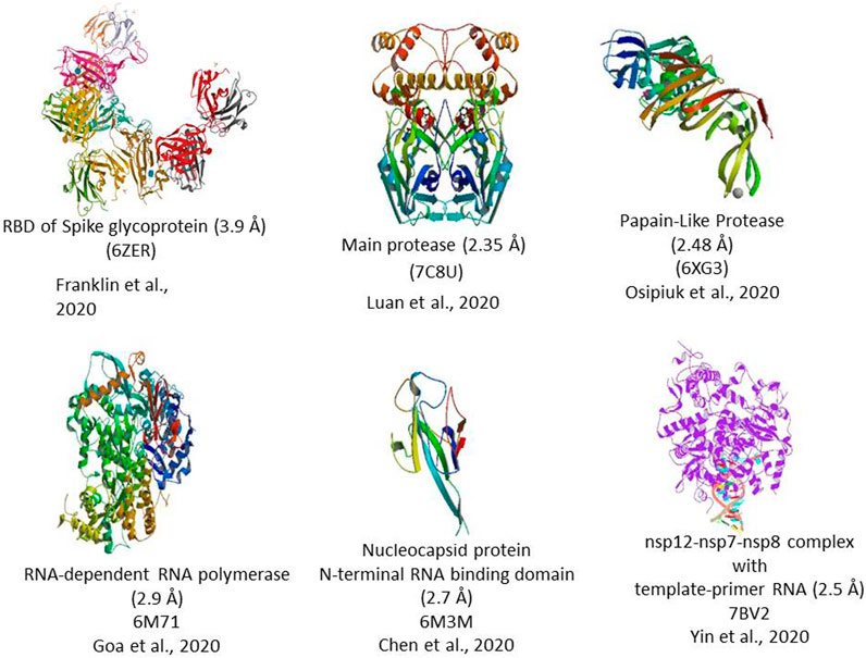 Frontiers Sars Cov 2 Pathogenesis Molecular Targets And Experimental Models Pharmacology