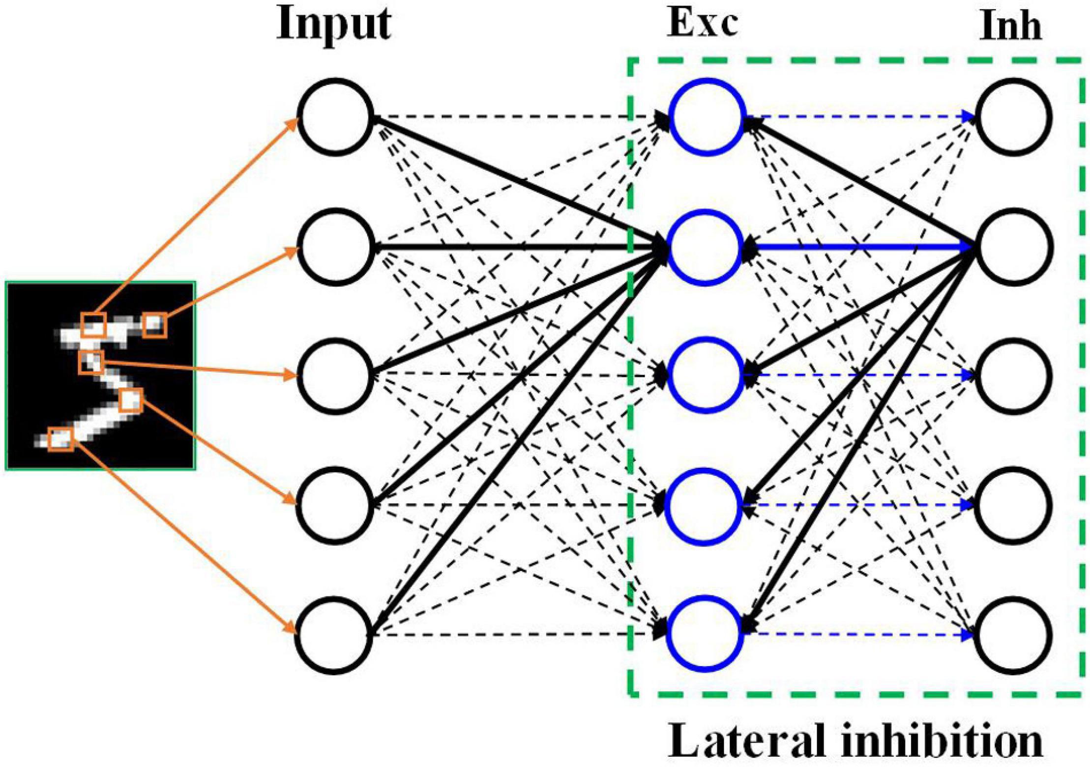 spiking neural network research paper