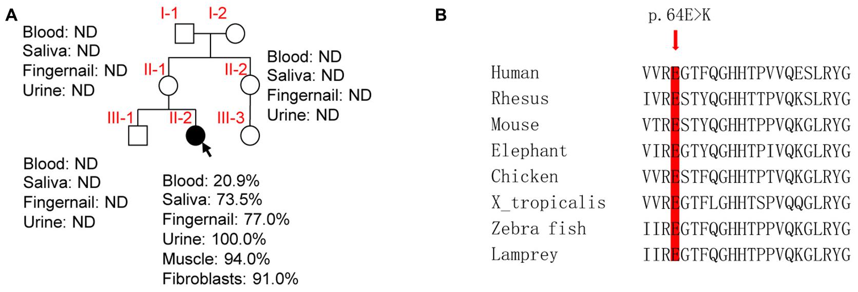 Frontiers  The Making of Calibration Sausage Exemplified by Recalibrating  the Transcriptomic Timetree of Jawed Vertebrates