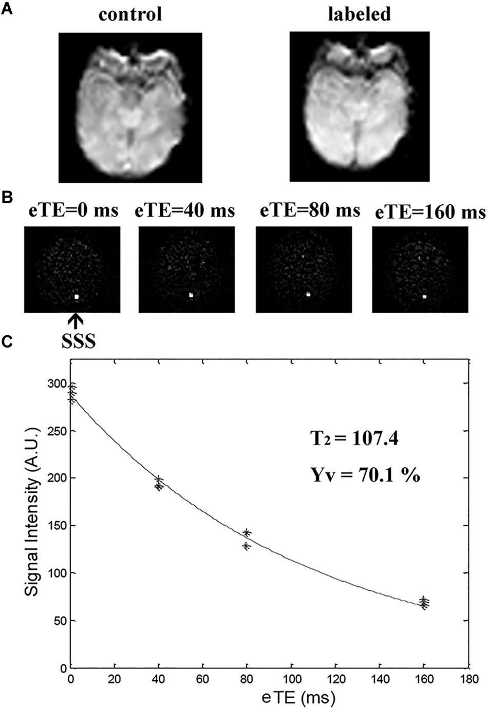 Frontiers  Hemodynamic and Metabolic Assessment of Neonates With