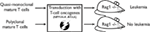 www.frontiersin.org