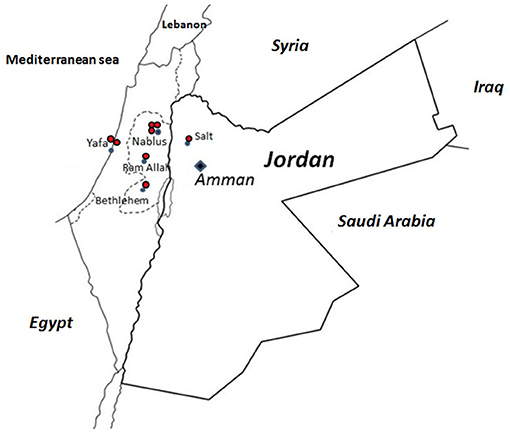 www.frontiersin.org