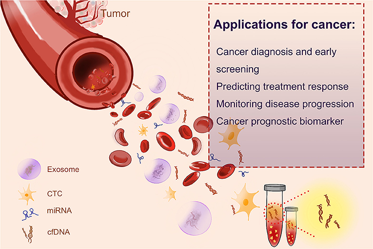 Cancers, Free Full-Text