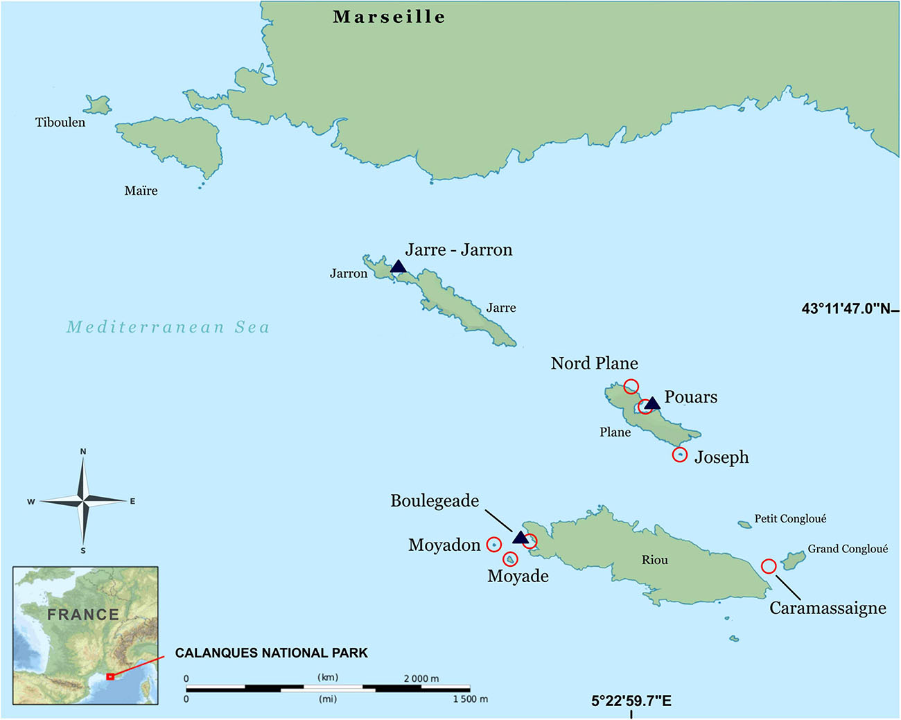 File:Mediterranean Sea Bathymetry map.svg - Wikimedia Commons